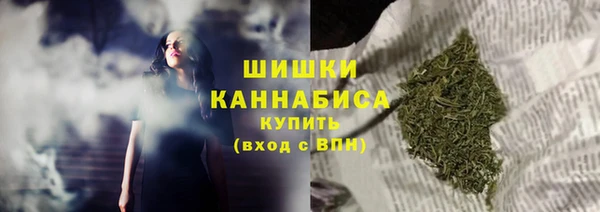 альфа пвп Новодвинск