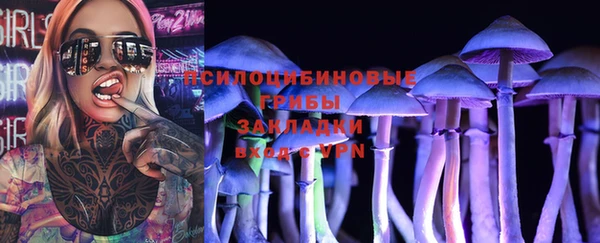 меф Няндома
