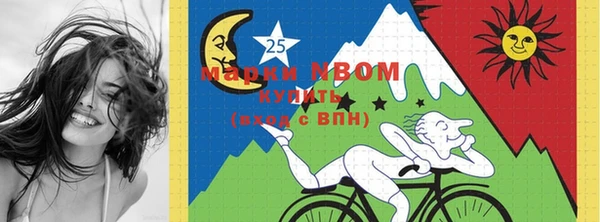 альфа пвп Новодвинск