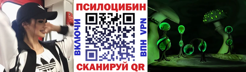 Купить где  Можайск  Псилоцибиновые грибы Psilocybe 